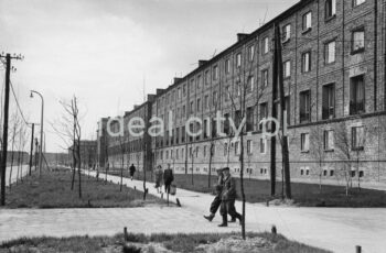 Domy mieszkalne na osiedlu C-2 Południe(Górali) lata 50.

Residential houses in the C-2 Południe (Górali) estate in the 1950s.

fot. Wiktor Pental/idealcity.pl





