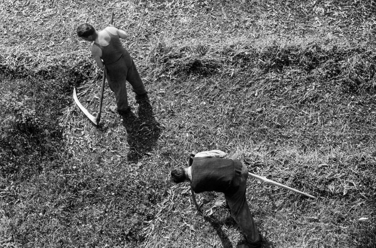 Widok z okna na dwie pochylone nad trawą postacie z kosami.
