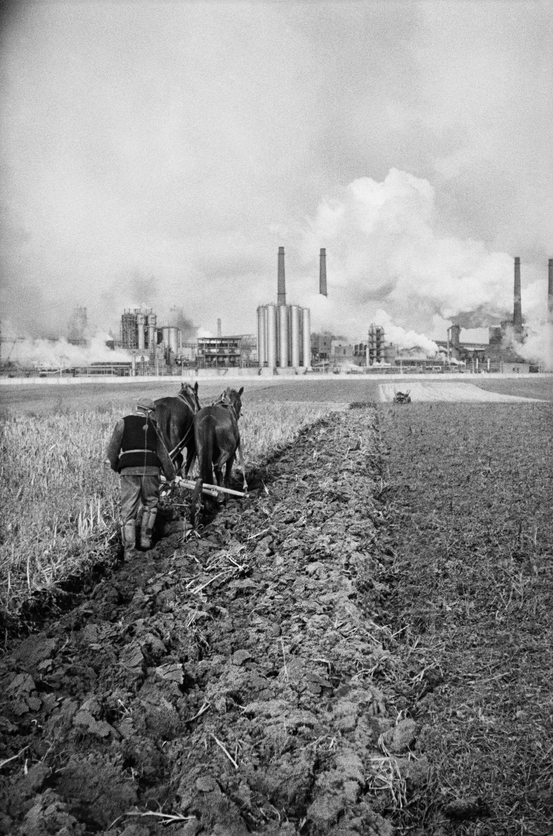A farmer plows a field with a horse-drawn plow, in the background the smoking chimneys of the plant.
