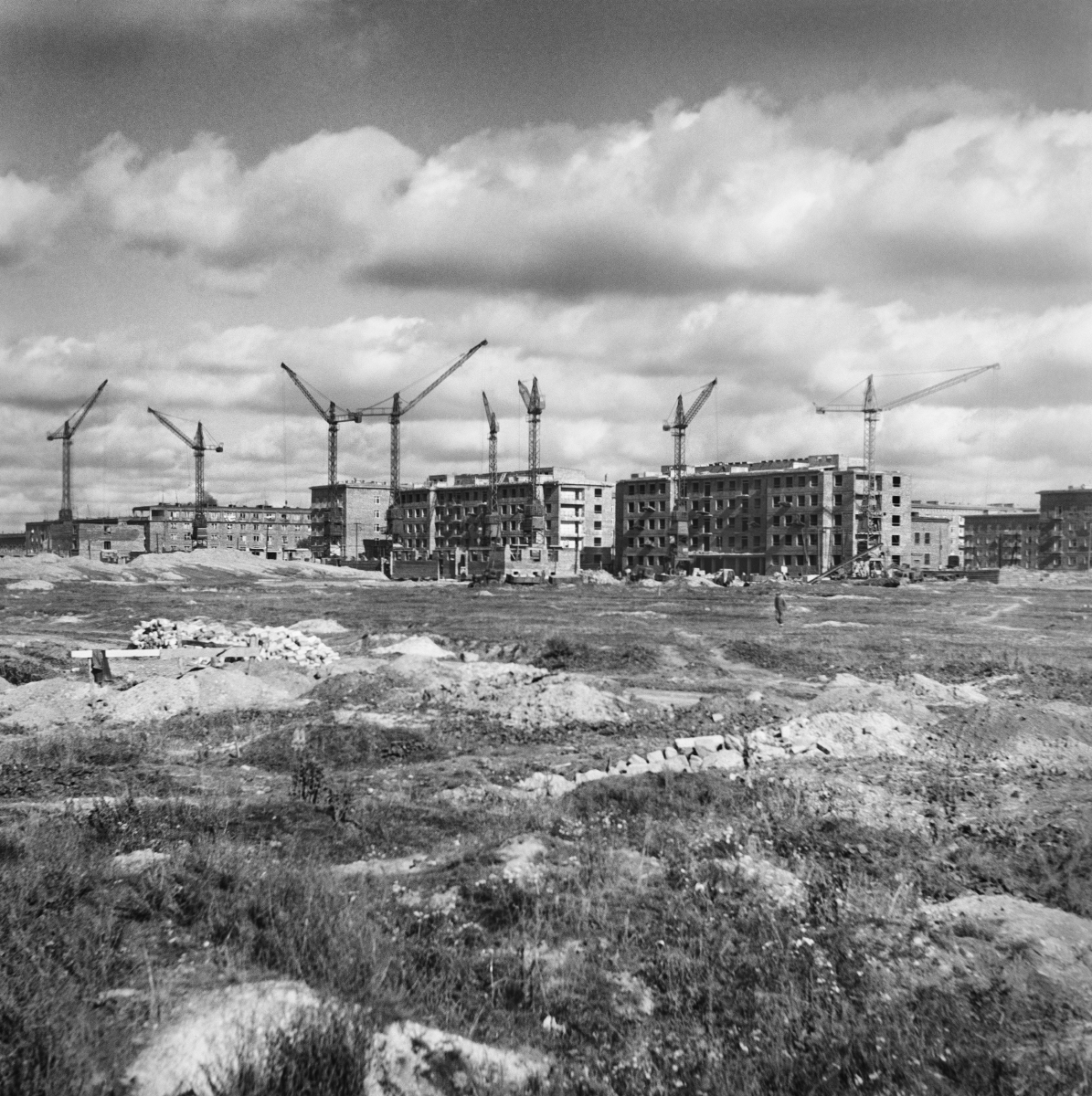 A view of the city under construction, a meadow in the foreground, then construction cranes and houses being built around them.