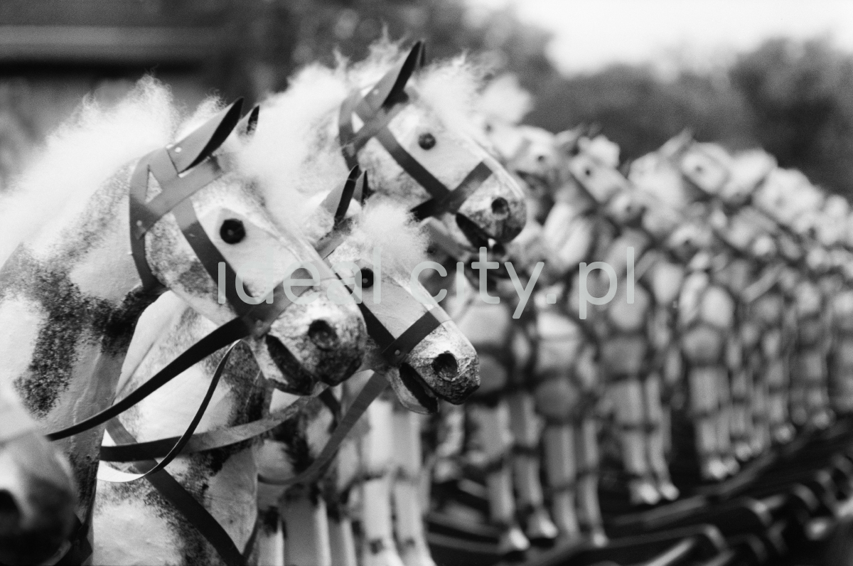 The shot shows a row of wooden rocking horses painted white.