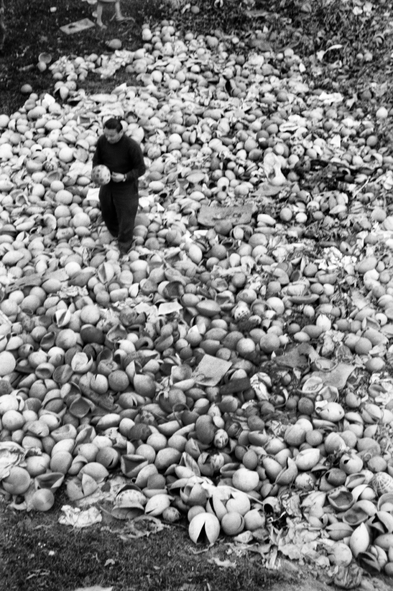 A man with a ball in his hand in the center of a pile of broken balls. pile of broken balls.