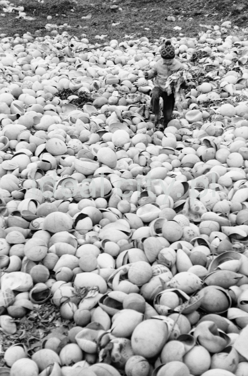 A child in the middle of a pile of broken balls.