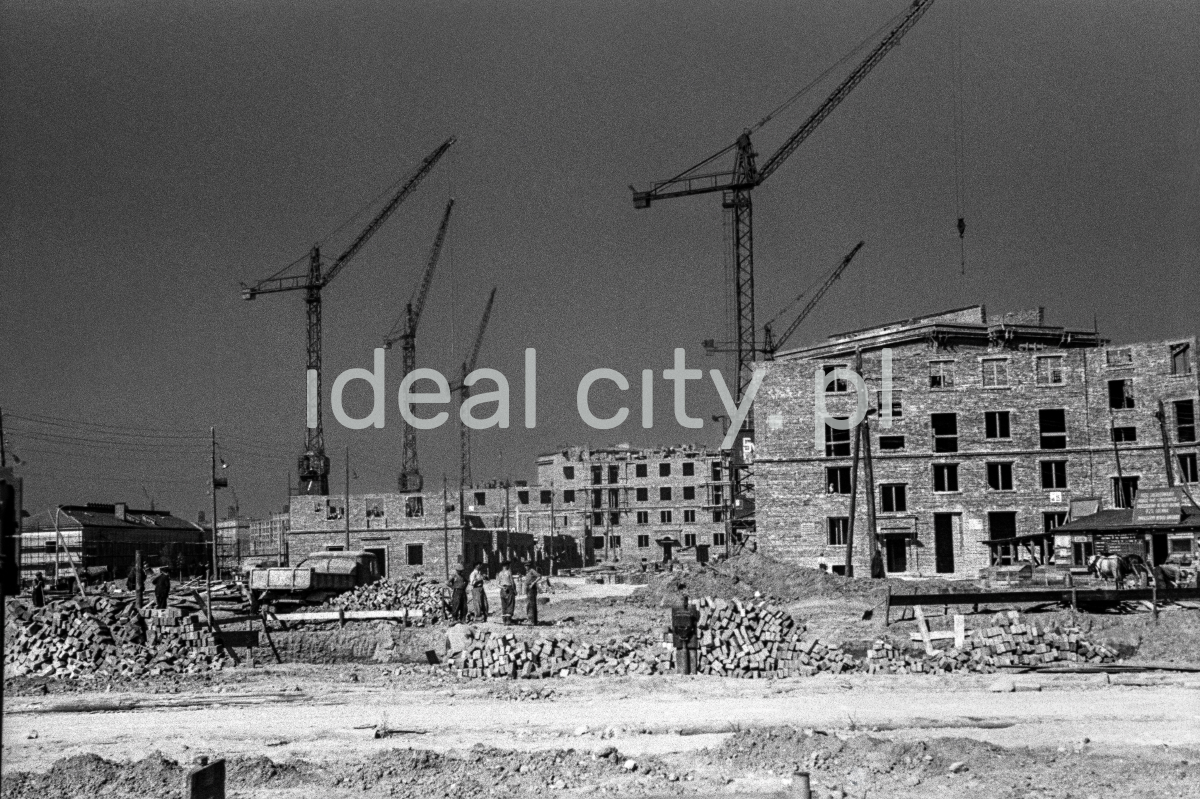 Apartment blocks under construction, above them a series of tall cranes.