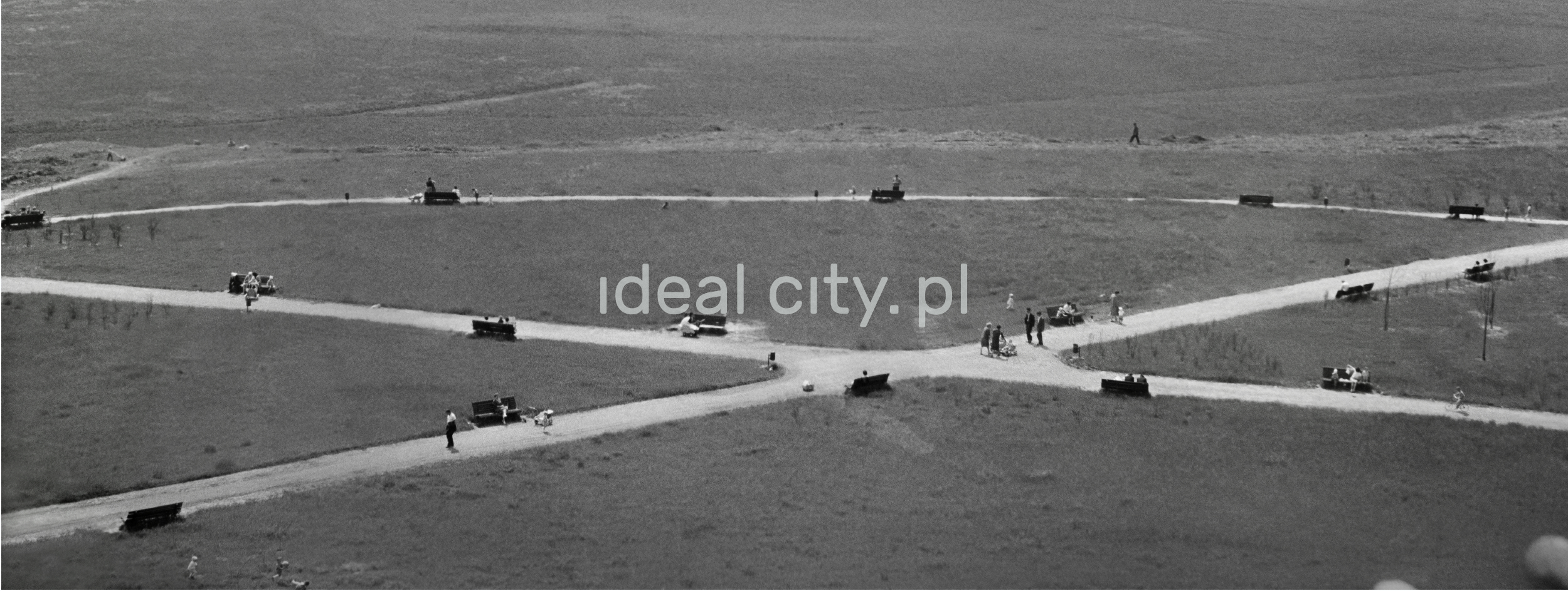 A view from a height of a meadow cut by pavements with benches.
