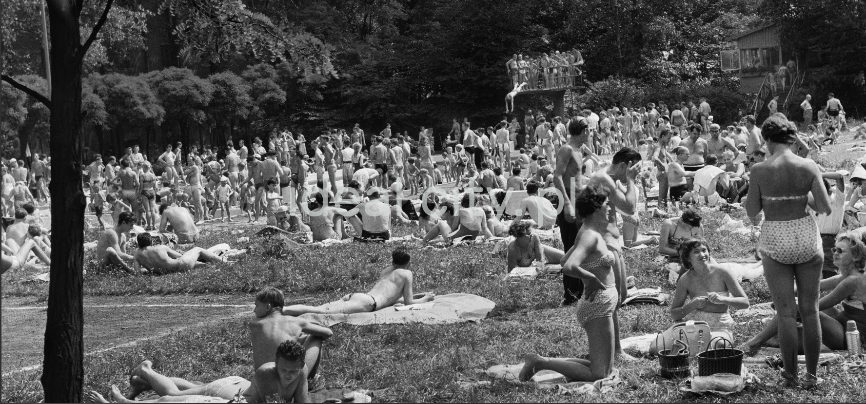 A crowd of people relaxing by the pool, in the background someone jumps into the water from a low springboard.
