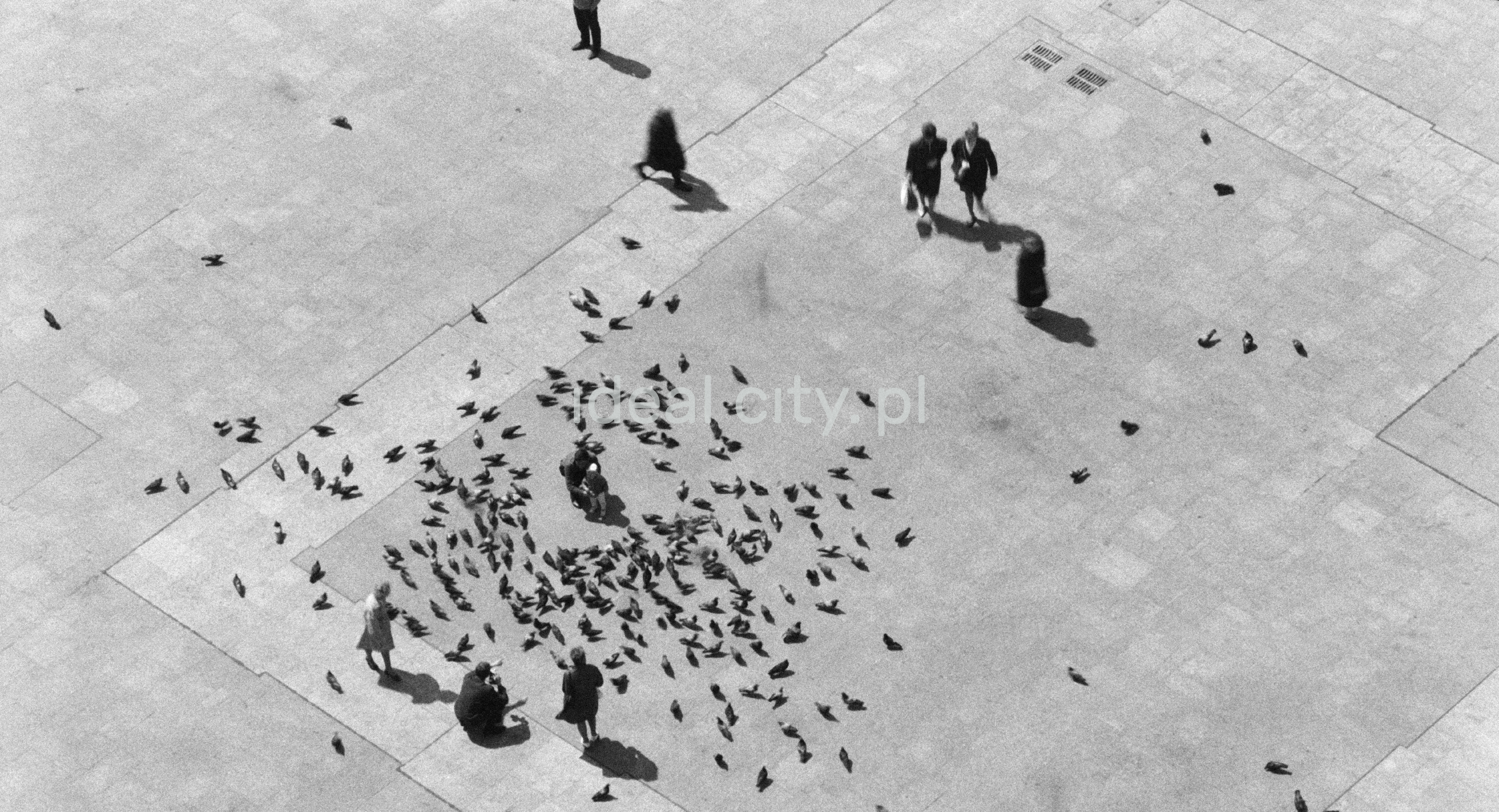 View from height to pedestrian traffic on the city square.