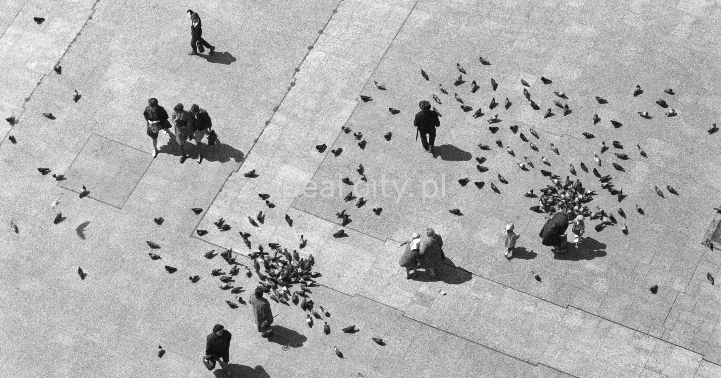 View from height to pedestrian traffic on the city square.