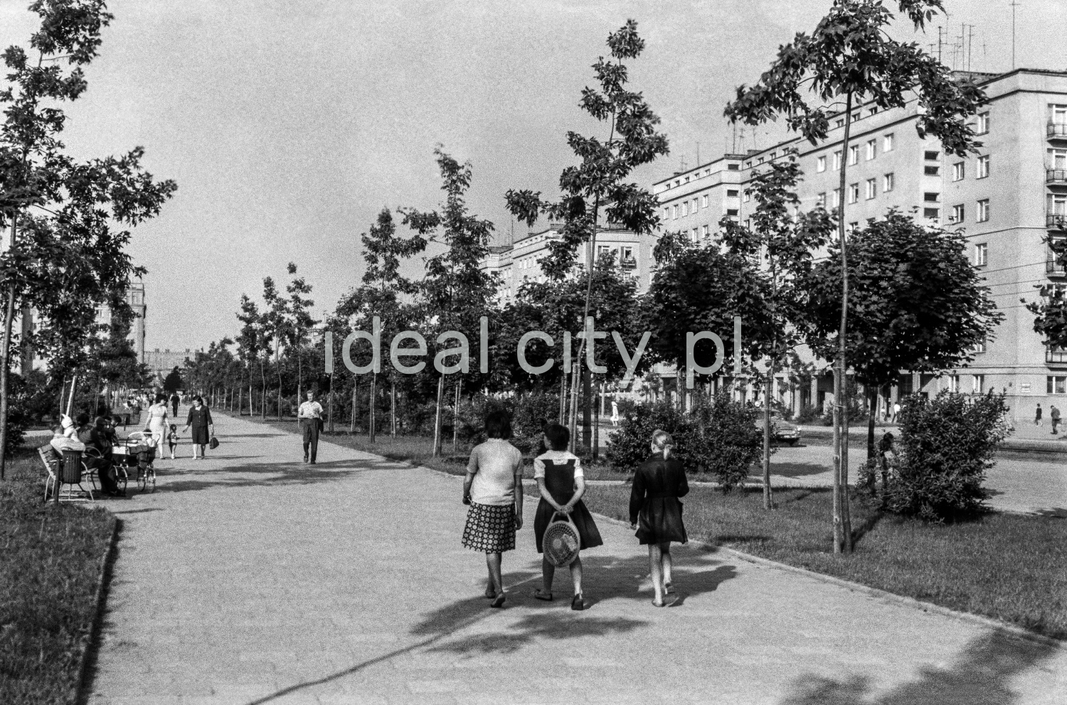 Rear shot of pedestrians walking along a wide sidewalk running through a green area, in the background the monumental buildings of the block.