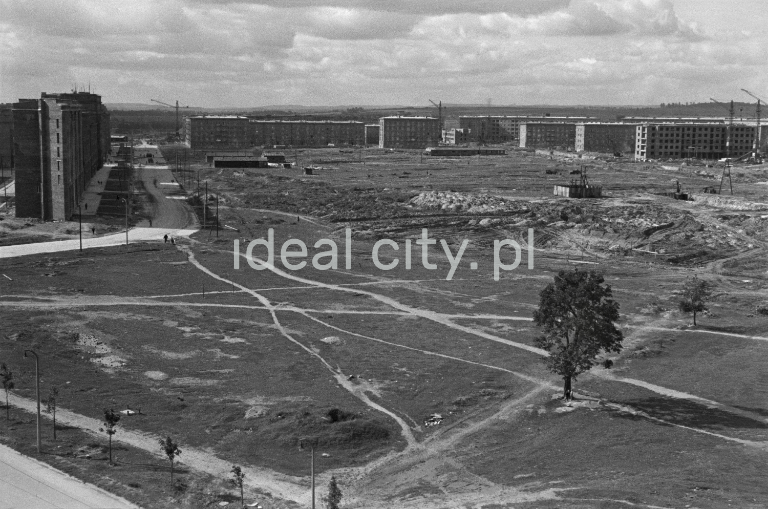 A view from above on a vast meadow cut between blocks of flats.