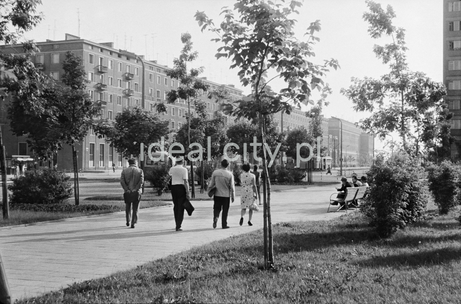 Rear shot of pedestrians walking along a wide sidewalk running through a green area, in the background the monumental buildings of the block.