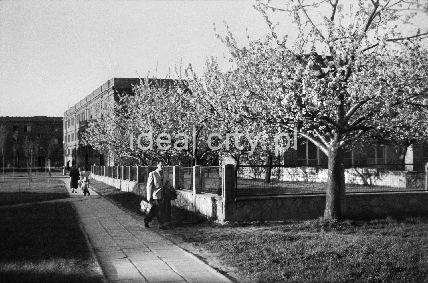 A man with a briefcase is walking past the garden in front of the pavilion building, low apartment blocks in the background.