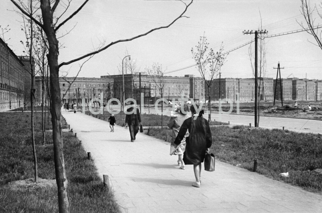Pedestrian traffic on the pavement along the newly built housing estate of low brick blocks, freshly planted trees visible.