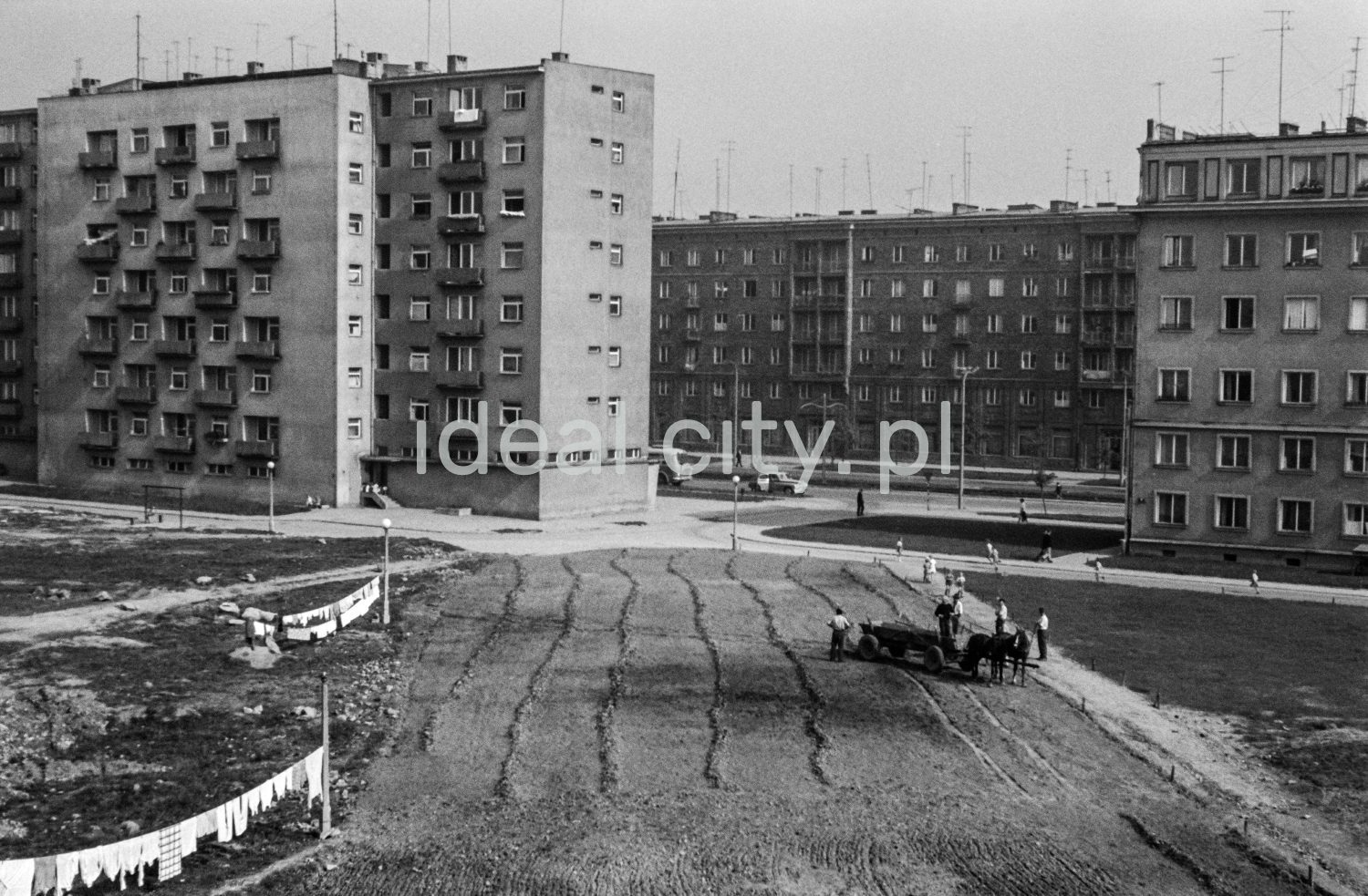 A view from above on the field between apartment blocks plowed by horse-drawn carts.