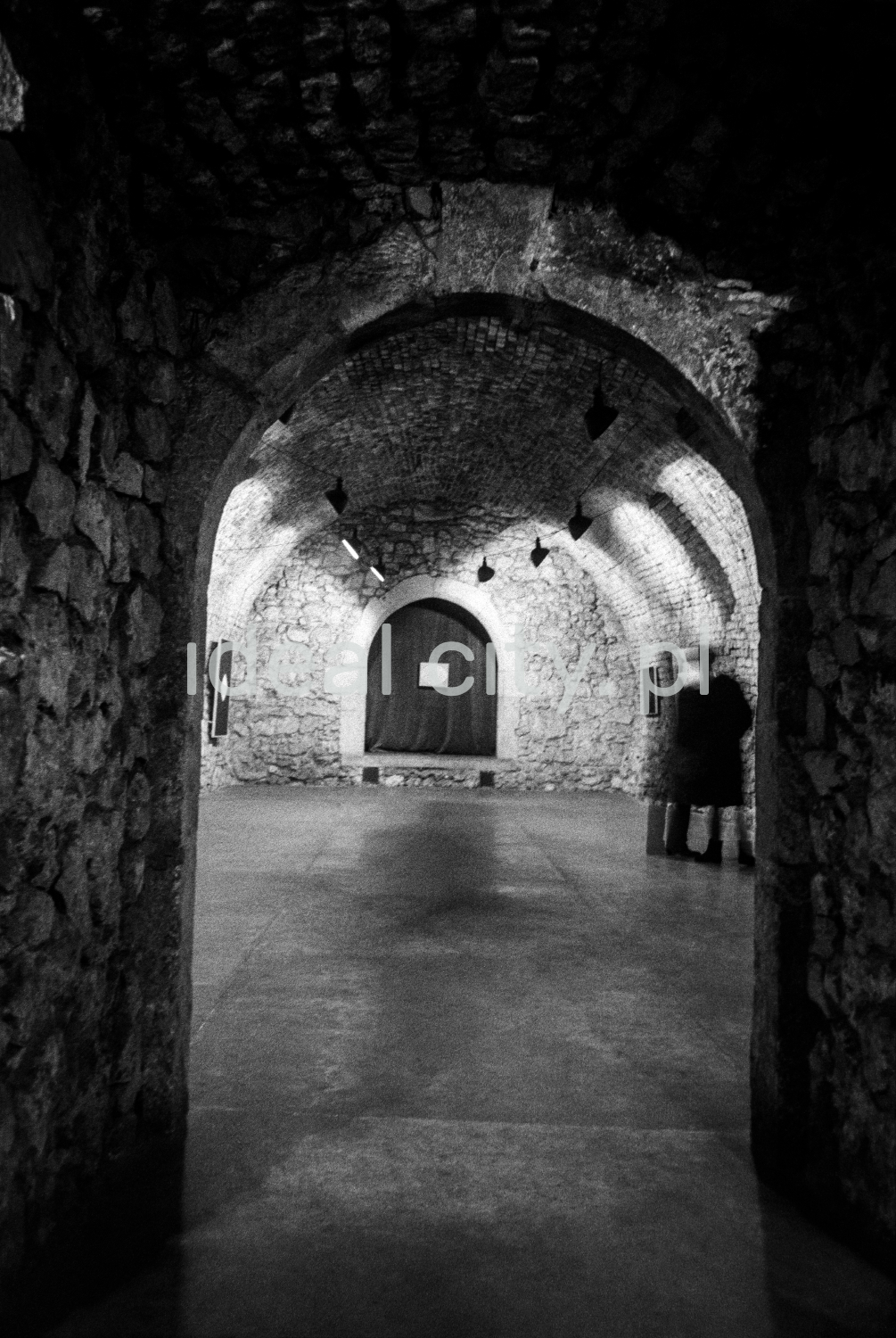 A view of a brick cellar with a semicircular vault, paintings on the walls illuminated by halogens.