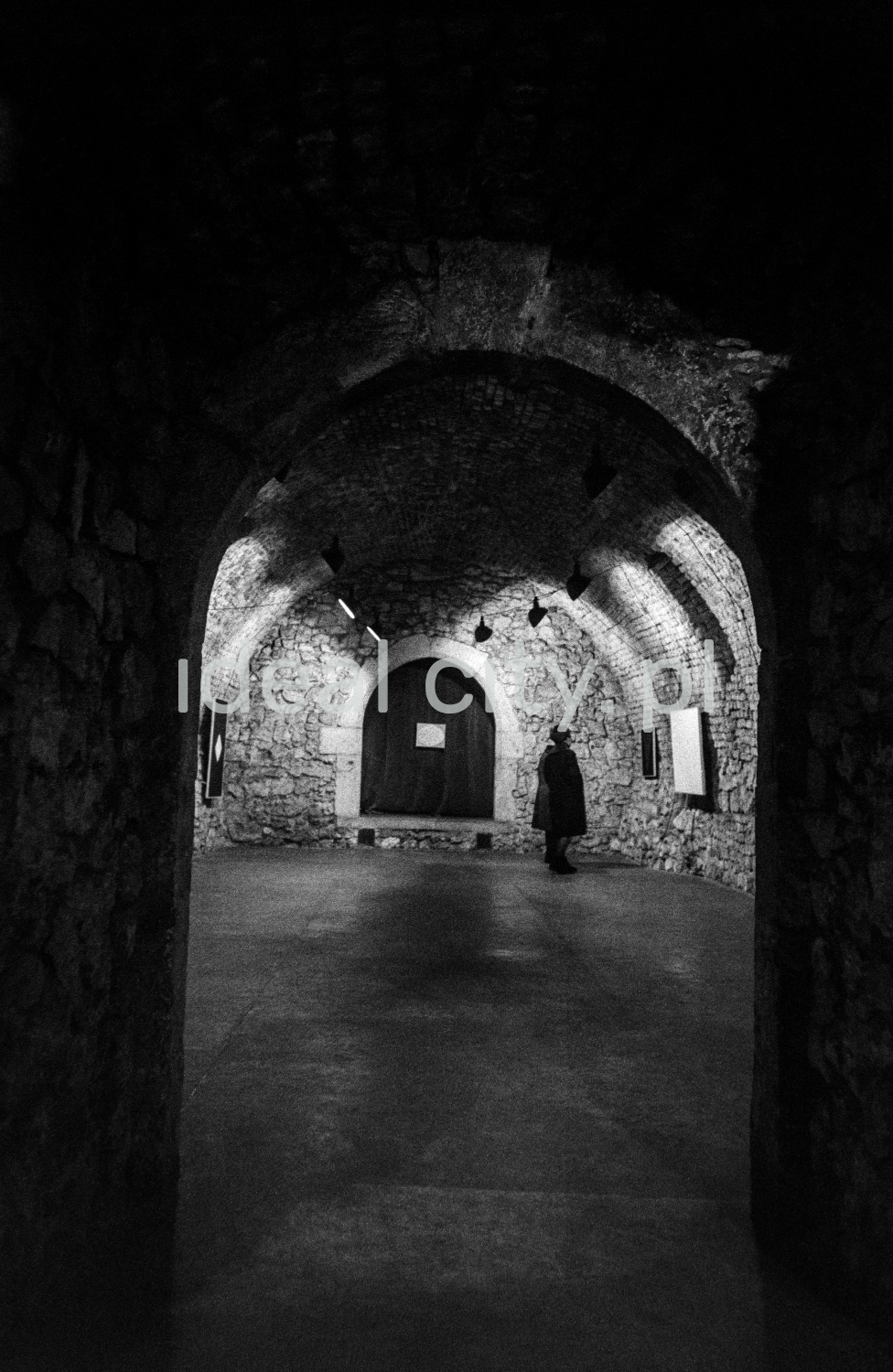 A view of a brick cellar with a semicircular vault, paintings on the walls illuminated by halogens.