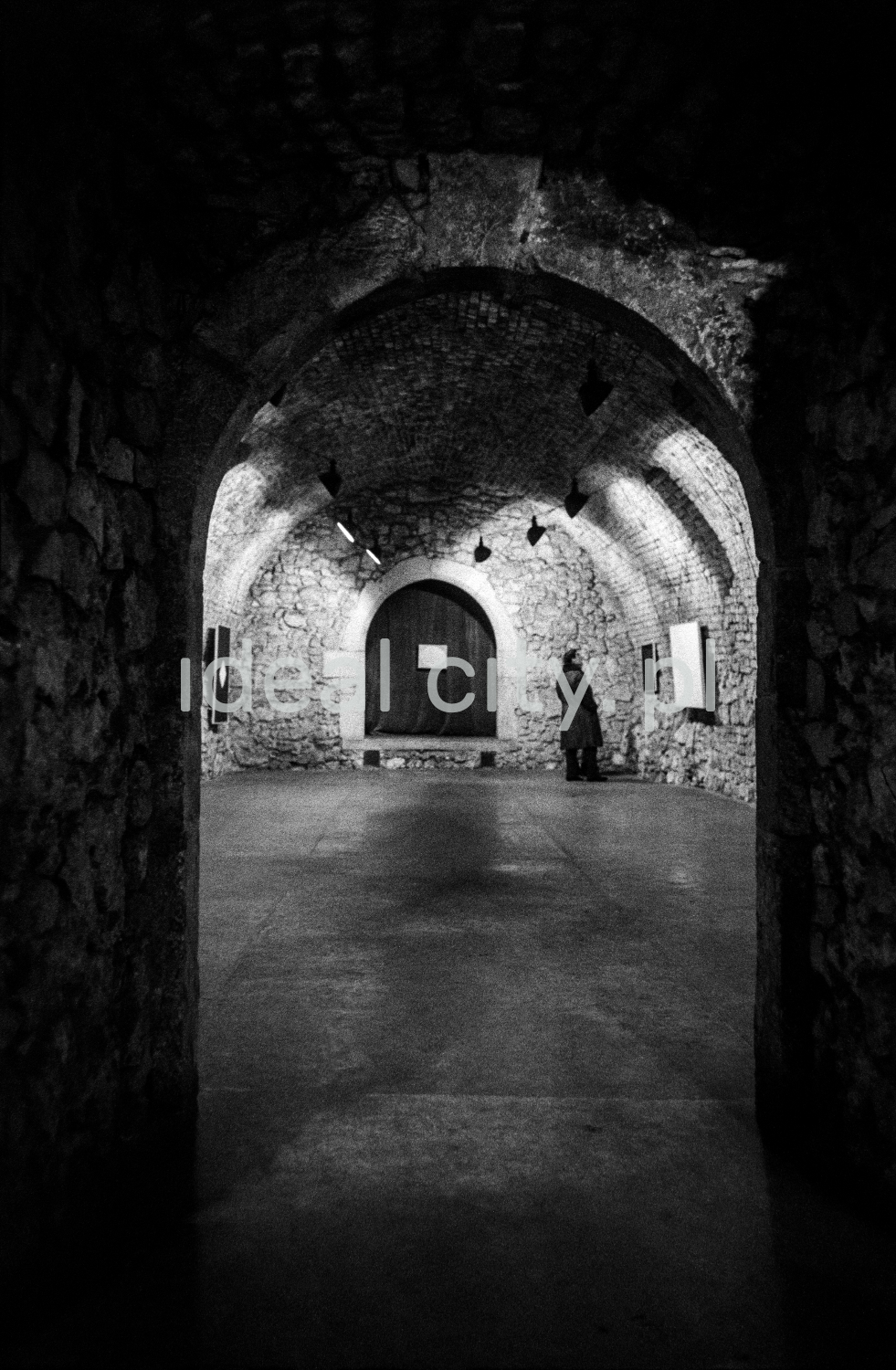 A view of a brick cellar with a semicircular vault, paintings on the walls illuminated by halogens.