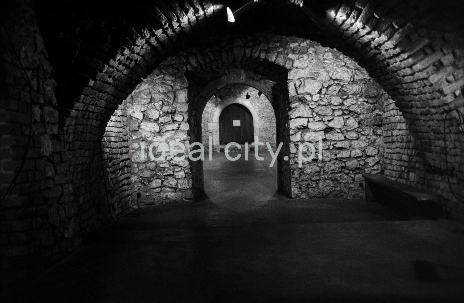 A view of a brick cellar with a semicircular vault, paintings on the walls illuminated by halogens.