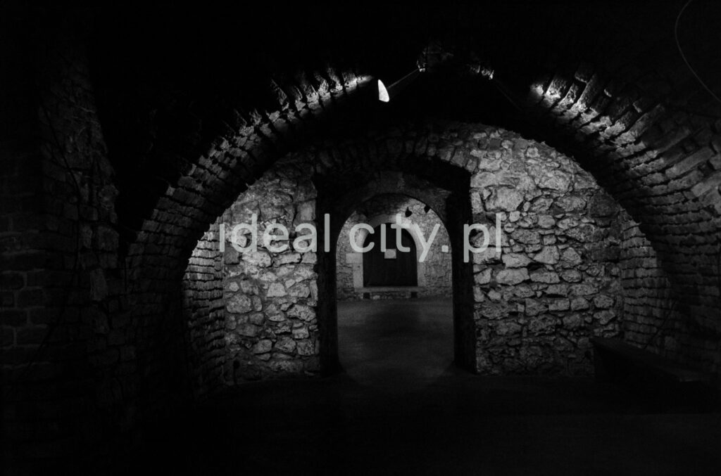 A view of a brick cellar with a semicircular vault, paintings on the walls illuminated by halogens.