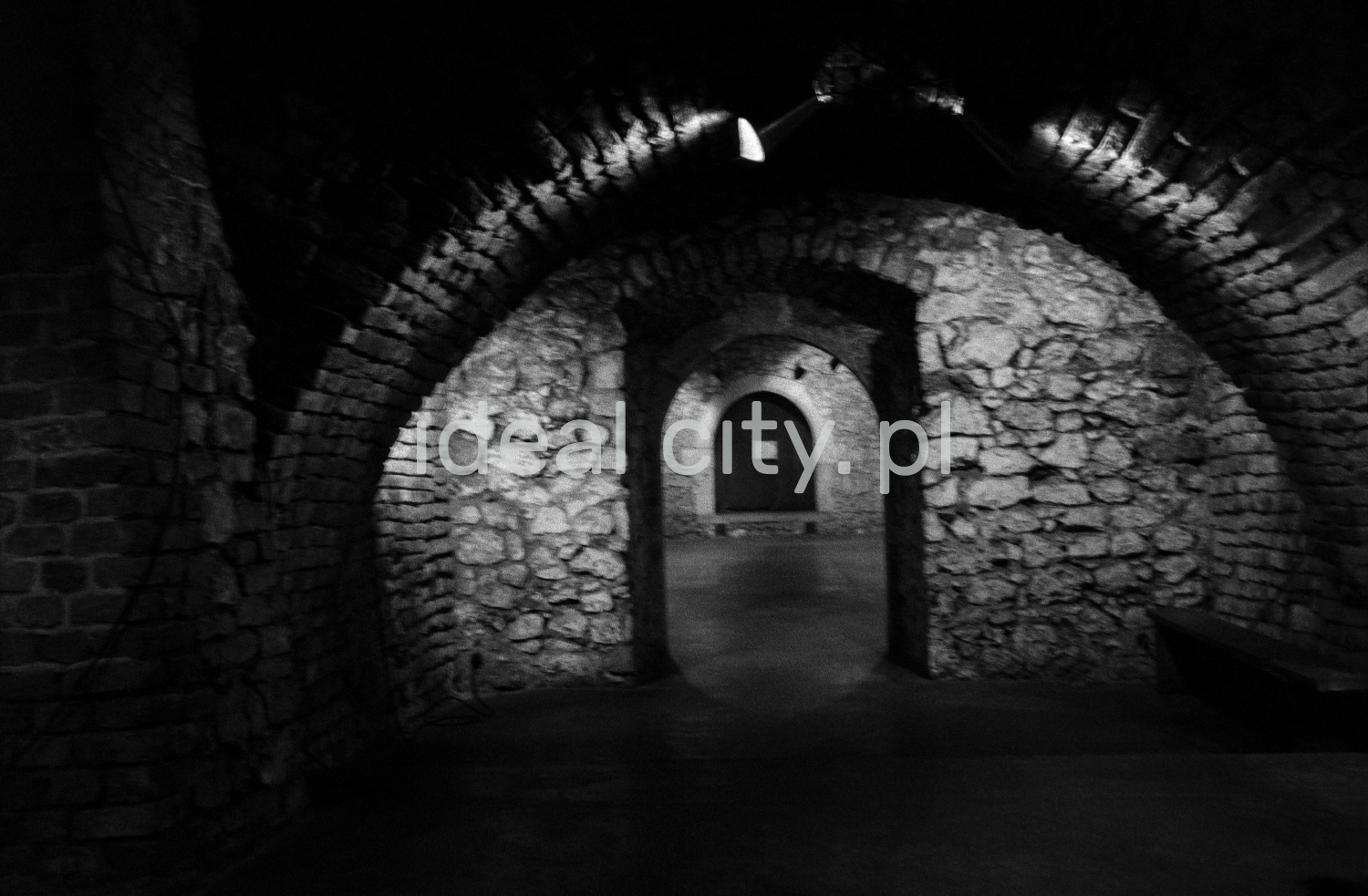 A view of a brick cellar with a semicircular vault, paintings on the walls illuminated by halogens.