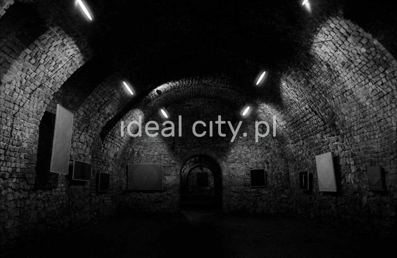 A view of a brick cellar with a semicircular vault, paintings on the walls illuminated by halogens.
