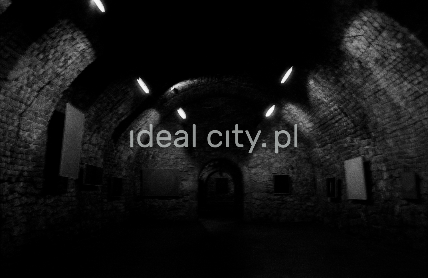 A view of a brick cellar with a semicircular vault, paintings on the walls illuminated by halogens.