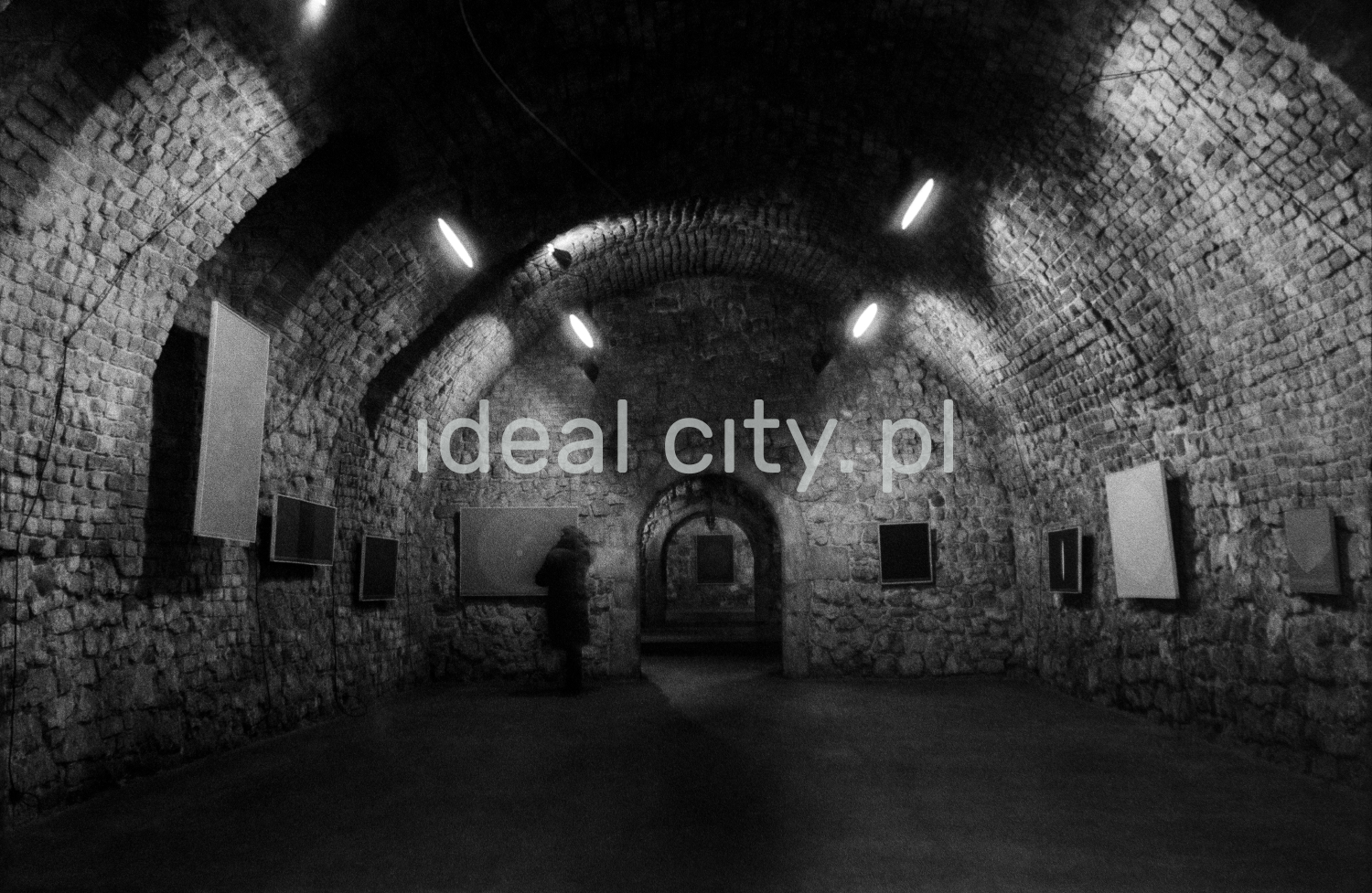 A view of a brick cellar with a semicircular vault, paintings on the walls illuminated by halogens.