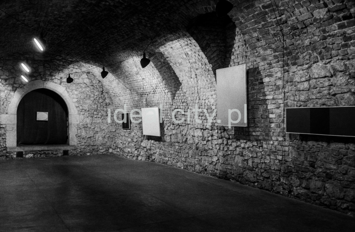 A view of a brick cellar with a semicircular vault, paintings on the walls illuminated by halogens.
