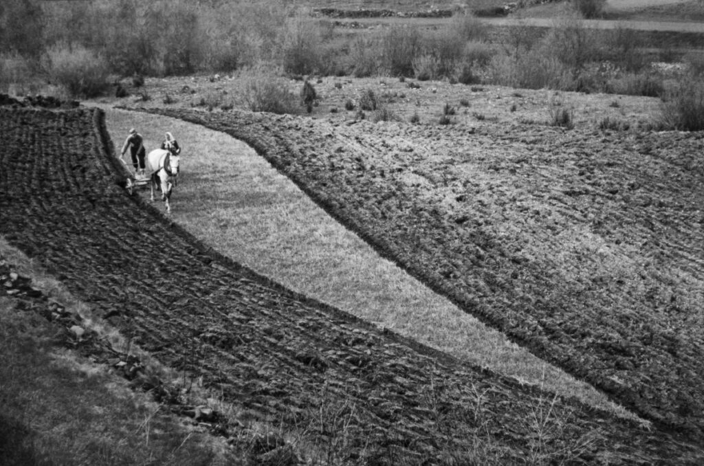 A farmer plows the field with a horse-drawn plow.