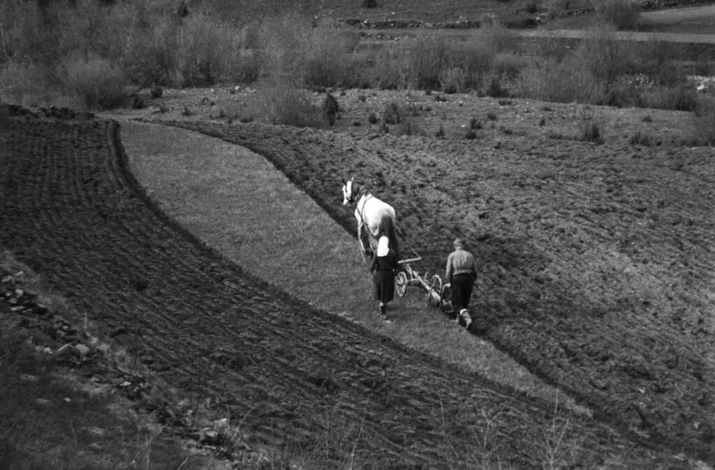 A farmer plows the field with a horse-drawn plow.