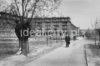 Buildings on the Zielone Estate. Mid-1950s.

Zabudowa Osiedla Zielonego. Połowa lat 50. XX w.

Photo by Henryk Makarewicz/idealcity.pl

