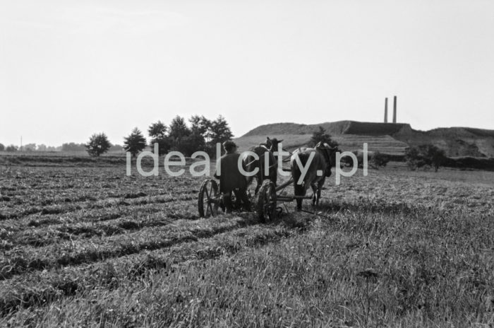 Ploughing a field near the Metallurgical Plant of the Lenin Steelworks. 1950s.

Orka w okolicach Kombinatu Metalurgicznego Huty im. W.I. Lenina. Lata 50. XXw.

Photo by Henryk Makarewicz/idealcity.pl

