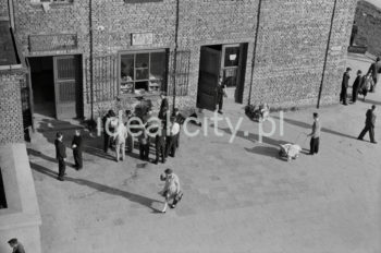 Jadalnia i bar „Halinka” na osiedlu C-1 (Teatralne), przemianowany później na restaurację, fotografia wykonana z budynku kina „Świt”, lata 50.

fot. Wiktor Pental/idealcity.pl
