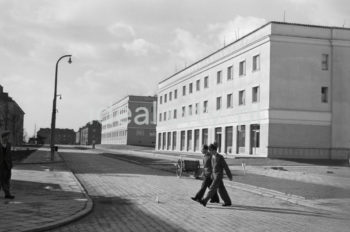 Ul. Zuchów, po prawej Osiedle Ogrodowe, po lewej Osiedle Wandy. Widok w kierunku Osiedla na Skarpie. Pierwsza połowa lat 50. XXw. 

fot. Wiktor Pental/idealcity.pl

