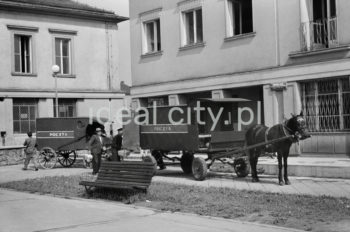 Pocztowe wozy konny do przewożenia paczek i listów przed budynkiem pierwszej poczty w Nowej Hucie na osiedlu A-1 Północ (Willowe). Została ona otwarta w połowie 1951 roku. Wystrój wnętrza, m.in. meble, kolumny pokryte marmurową okładziną, marmurowe blaty, zaprojektował Marian Sigmund. Pierwotnie w tym budynku (na piętrze) miał swoją siedzibę również Międzyzwiązkowy Klub Robotniczy. Na parterze znajdowały się punkty przyjęcia klientów, a na piętrze m.in. rozdzielnia oraz mieszkanie służbowe listonosza, który był jednocześnie stróżem. Listonosze dzielili się na miejskich i wiejskich, norma listonosza miejskiego wynosiła 2 tysiące mieszkańców.
Koniec lat 50. XXw. 

fot. Wiktor Pental/idealcity.pl

