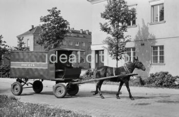 Pocztowy wóz konny do przewożenia paczek i listów przed budynkiem pierwszej poczty w Nowej Hucie na osiedlu A-1 Północ (Willowe). Została ona otwarta w połowie 1951 roku. Wystrój wnętrza, m.in. meble, kolumny pokryte marmurową okładziną, marmurowe blaty, zaprojektował Marian Sigmund. Pierwotnie w tym budynku (na piętrze) miał swoją siedzibę również Międzyzwiązkowy Klub Robotniczy. Na parterze znajdowały się punkty przyjęcia klientów, a na piętrze m.in. rozdzielnia oraz mieszkanie służbowe listonosza, który był jednocześnie stróżem. Listonosze dzielili się na miejskich i wiejskich, norma listonosza miejskiego wynosiła 2 tysiące mieszkańców. 
Koniec lat 50. XXw.

fot. Wiktor Pental/idealcity.pl

