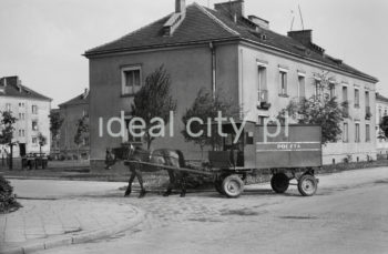Pocztowy wóz konny do przewożenia paczek i listów przed budynkiem pierwszej poczty w Nowej Hucie na osiedlu A-1 Północ (Willowe). Została ona otwarta w połowie 1951 roku. Wystrój wnętrza, m.in. meble, kolumny pokryte marmurową okładziną, marmurowe blaty, zaprojektował Marian Sigmund. Pierwotnie w tym budynku (na piętrze) miał swoją siedzibę również Międzyzwiązkowy Klub Robotniczy. Na parterze znajdowały się punkty przyjęcia klientów, a na piętrze m.in. rozdzielnia oraz mieszkanie służbowe listonosza, który był jednocześnie stróżem. Listonosze dzielili się na miejskich i wiejskich, norma listonosza miejskiego wynosiła 2 tysiące mieszkańców. 
Koniec lat 50. XXw.

fot. Wiktor Pental/idealcity.pl

