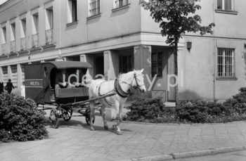 Pocztowy wóz konny do przewożenia paczek i listów przed budynkiem pierwszej poczty w Nowej Hucie na osiedlu A-1 Północ (Willowe). Została ona otwarta w połowie 1951 roku. Wystrój wnętrza, m.in. meble, kolumny pokryte marmurową okładziną, marmurowe blaty, zaprojektował Marian Sigmund. Pierwotnie w tym budynku (na piętrze) miał swoją siedzibę również Międzyzwiązkowy Klub Robotniczy. Na parterze znajdowały się punkty przyjęcia klientów, a na piętrze m.in. rozdzielnia oraz mieszkanie służbowe listonosza, który był jednocześnie stróżem. Listonosze dzielili się na miejskich i wiejskich, norma listonosza miejskiego wynosiła 2 tysiące mieszkańców. 


fot. Wiktor Pental/idealcity.pl

