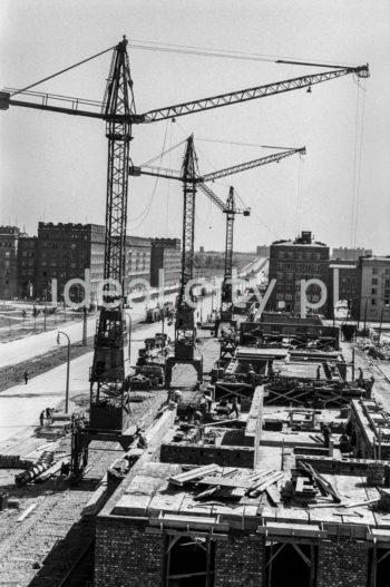 Budowa Osiedla Hutniczego. Lata 50. XXw.
W tle Osiedle Szkolne (po lewej) oraz Osiedle Stalowe (po prawej).

fot. Wiktor Pental/idealcity.pl
