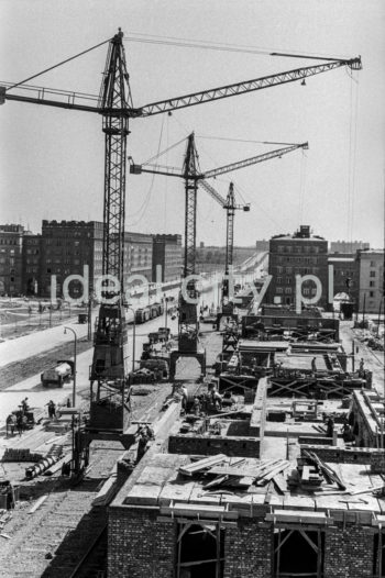 Budowa Osiedla Hutniczego. Lata 50. XXw.
W tle Osiedle Szkolne (po lewej) oraz Osiedle Stalowe (po prawej).

fot. Wiktor Pental/idealcity.pl

