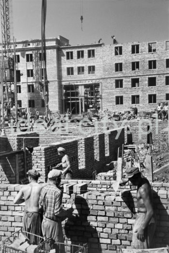 Construction of the Stalowe Estate. 1950s.

Budowa Osiedla Stalowego, lata 50. XX w.

Photo by Wiktor Pental/idealcity.pl

