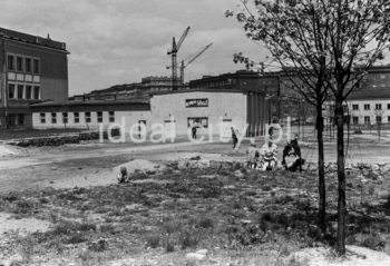 Budynek pierwszego stacjonarnego kina w Nowej Hucie „Stal”, na osiedlu A-1 Północ (Willowe),  wybudowane zostało w 1951 roku. Tutaj miał swoją siedzibę Amatorski Klub Filmowy Nowa Huta. W tle budowa osiedla A-11 (Stalowego) oraz osiedla  B-1 (Szkolne). Widoczny fragment budynku Szkoły Podstawowej nr 83, która wtedy miała w nim swoją siedzibę, obecnie L.O. nr. XVI. W budynku dawnego kina mieści się szkolna sala gimnastyczna, l.50.XX w. Po prawej fragment budynku Żłobka nr. 5.

fot. Wiktor Pental/idealcity.pl

