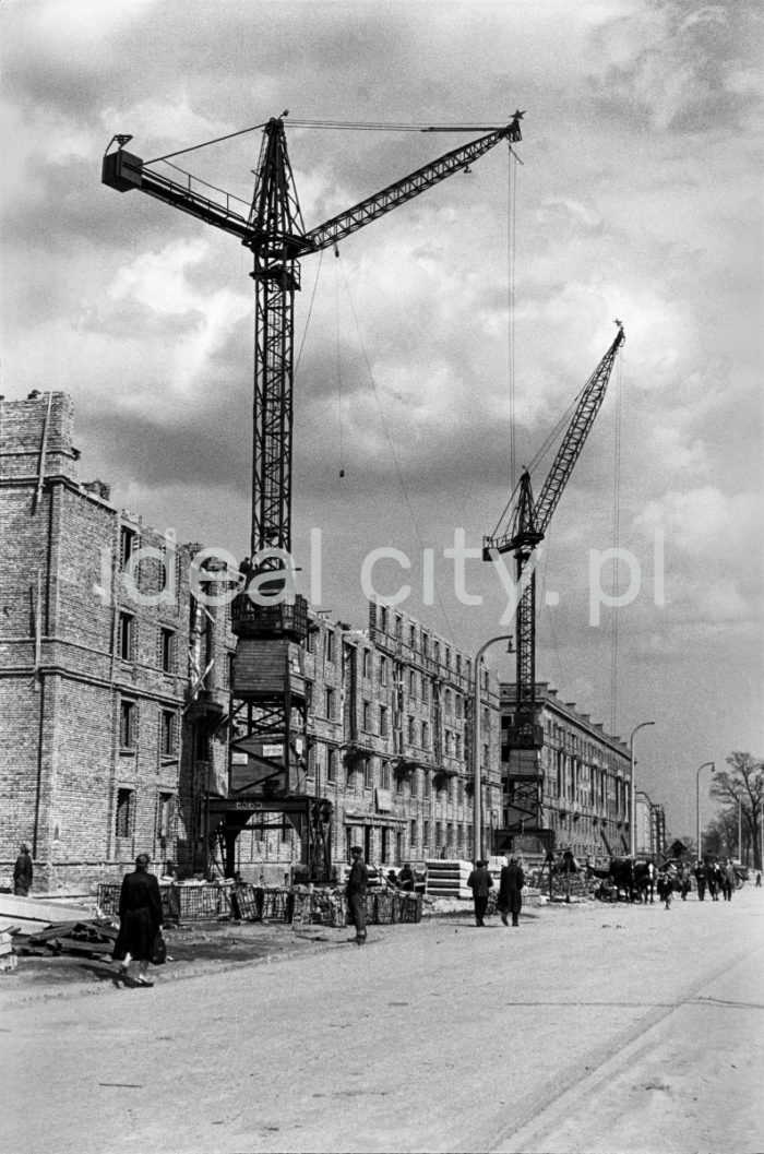 Construction of residential buildings on the A-31 (Centrum A) Estate. Late 1950s. John Paul II Alley, previously Lenin Alley (1949-58), Igołomska Alley (1958-75), and Rewolucji Kubańskiej Alley (Cuban Revolution Alley, 1975-91).

Budowa domów mieszkalnych na osiedlu A-31 (Centrum A). Aleja Jana Pawła II, wcześniej Lenina (aleja) (1949-1958), ul. Igołomska (1958-1975), ul. Rewolucji Kubańskiej (1975-1991). 

Photo by Wiktor Pental/idealcity.pl

