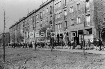 Wycieczka szkolna na Osiedlu Górali, obok dzisiejszego Ośrodka Kultury im. C. K. Norwida. Lata 50. XXw.

fot. Wiktor Pental/idealcity.pl

