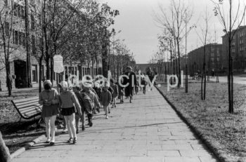 Wycieczka szkolna na Osiedlu Górali, obok dzisiejszego Ośrodka Kultury im. C. K. Norwida. Lata 50. XXw.

fot. Wiktor Pental/idealcity.pl

