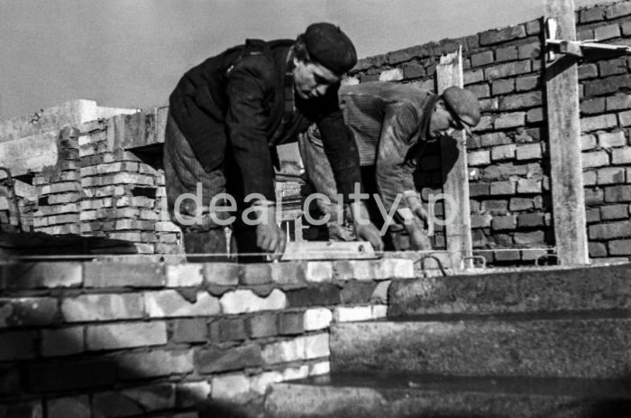 Construction of the Zgody state. 1950s.

Budowa Osiedla Zgody, lata 50. XX w.

Photo by Wiktor Pental/idealcity.pl

