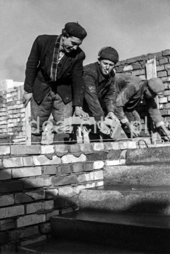 Budowa Osiedla Zgody, lata 50. XXw.

fot. Wiktor Pental/idealcity.pl

