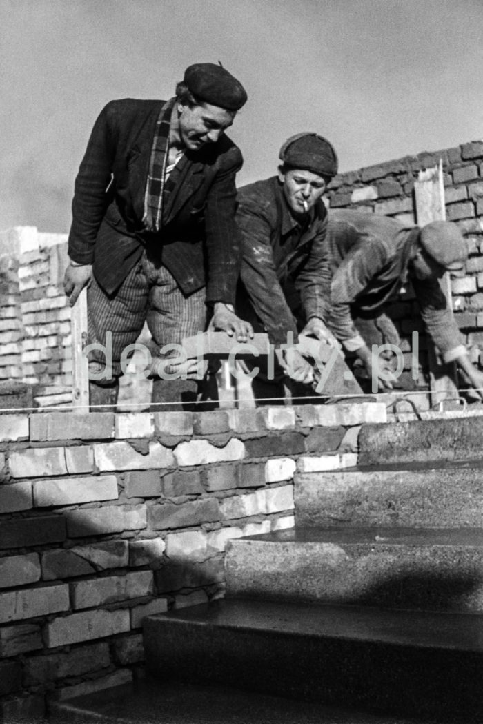 Construction of the Zgody state. 1950s.

Budowa Osiedla Zgody, lata 50. XXw.

Photo by Wiktor Pental/idealcity.pl

