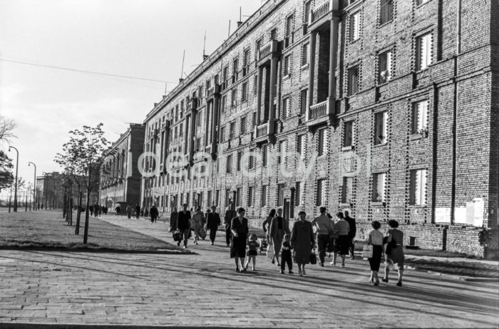 View of Igołomska Alley (now Jana Pawła II Alley), buildings on the A-31 (Centrum A) Estate; in the background: Plac Centralny and buildings on the D-31 (Centrum D) Estate. Late 1950s or early 1960s.

Widok alei Igołomskiej (obecnie alei Jana Pawła II), domy na osiedlu A-31 (Centrum A), w oddali Plac Centralny i budynki na osiedlu D-31 (Centrum D), koniec lat 50. lub początek lat 60.

Photo by Wiktor Pental/idealcity.pl

