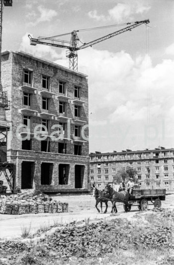 Construction of the Urocze Estate; on the background: Górali Estate. 1950s.

Budowa bloku na Osiedlu Uroczym, w tle Osiedle Górali, lata 50.

Photo by Wiktor Pental/idealcity.pl
